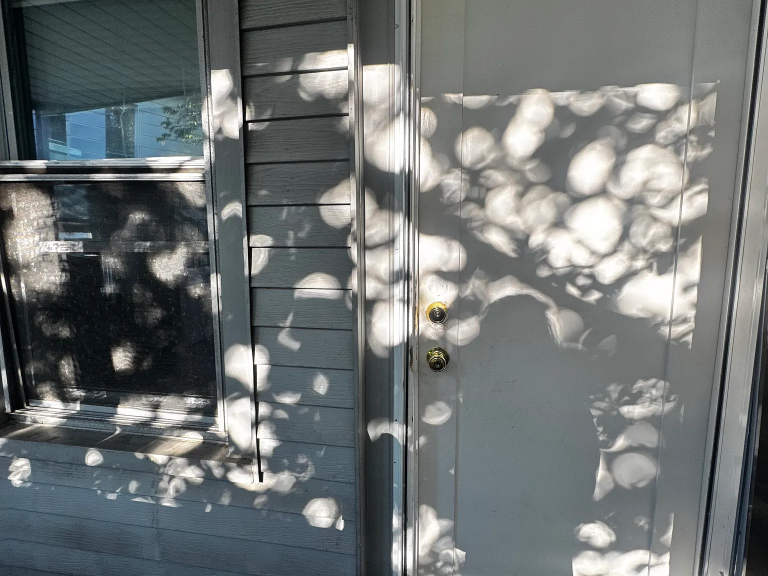 2 bed, $1,450 — Photo 2