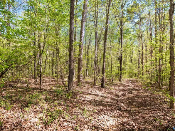 28 County Rd #279, Moulton, AL 35650