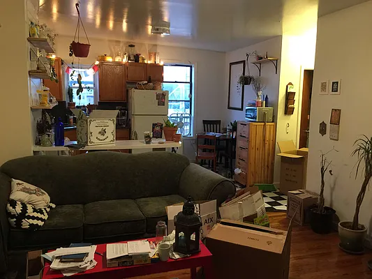 Rented by null | media 22