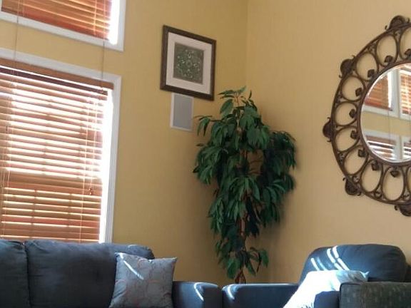 Double tray ceilings