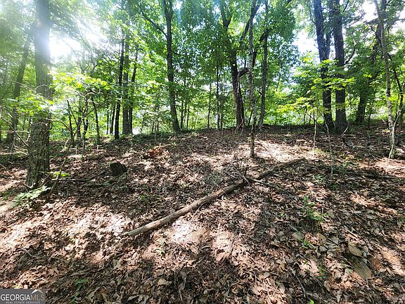 4th image of 14 Little Eagle Mountain Rd