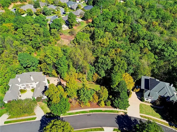 1330 Downing Rdg, Tuscaloosa, AL 35406
