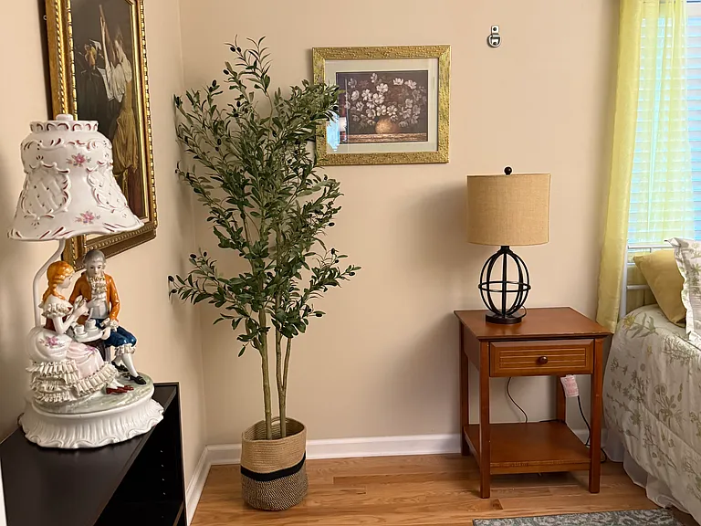 7802 Marconi Ct — Photo 17