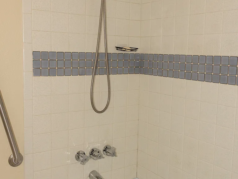 Step in bathtub with railings