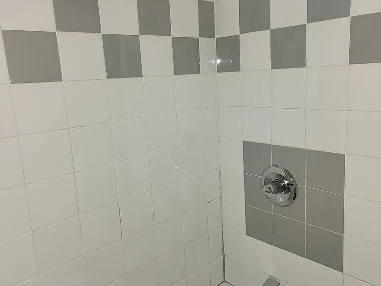 4 N Bleeker St #4 — Photo 5