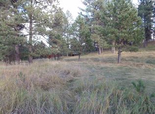 112 Trails End Ct, Custer, SD 57730