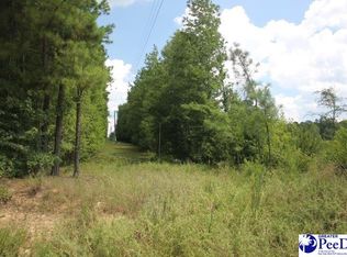 3 Sweeney Rd, Chesterfield, SC 29709