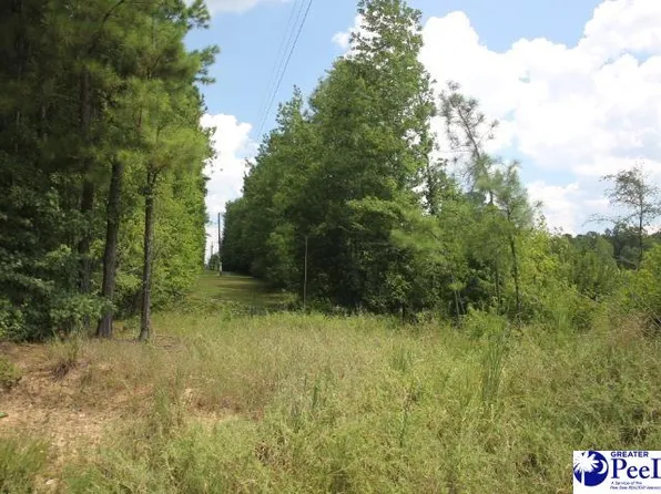 3 Sweeney Rd, Chesterfield, SC 29709