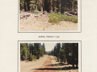 Beaver Road Field Dr, California Pines, CA 96101