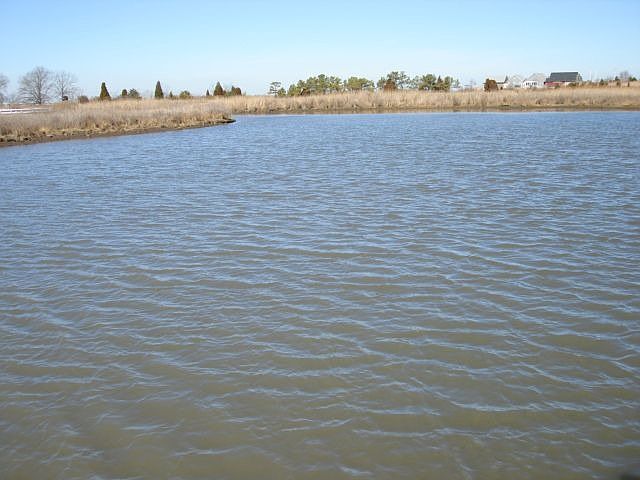 Watershot