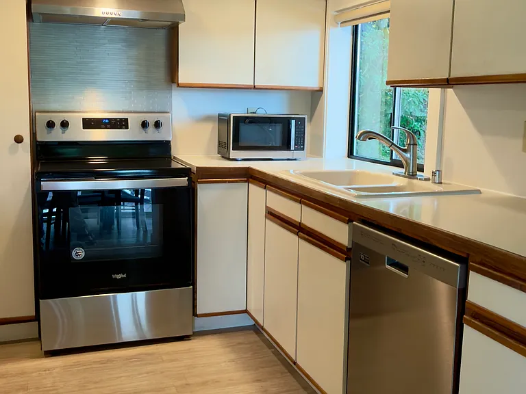 Kitchen all stainless appliance