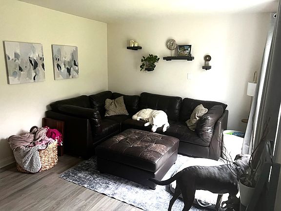 Nice Living Room with big picture window. Sweet dogs and furniture not included.