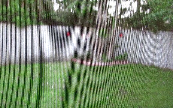 Privacy fenced yard