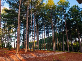 45 Victoria Ln, Hot Springs Village, AR 71909