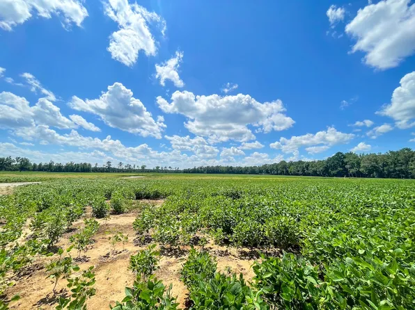 Fire Tower Rd Lot Wp001, Blenheim, SC 29516