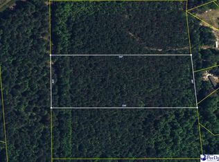 4.88 Acres Tract #C2, Pamplico, SC 29583