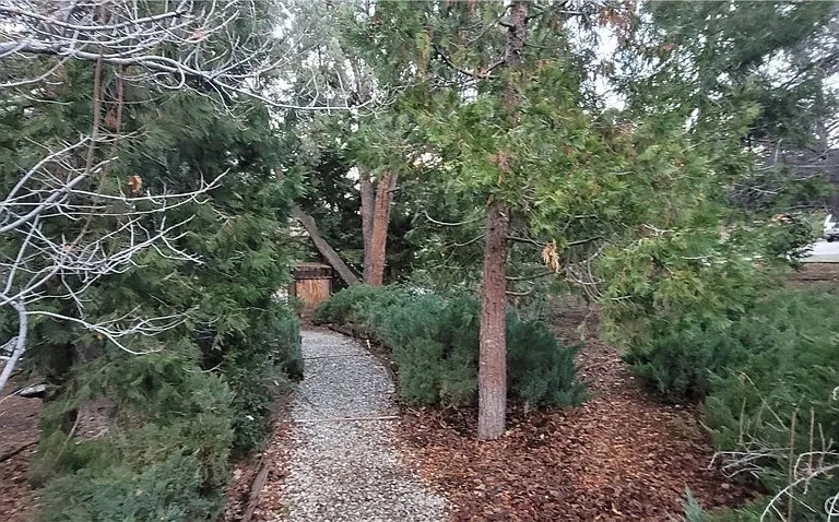 1317 Pinetree Dr — Photo 37