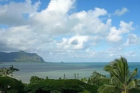 View From lanai