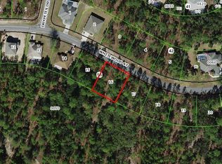 37 Whitewood St, Homosassa, FL 34446