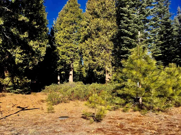 95 Fox Pine Dr, Westwood, CA 96137