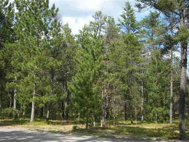 1st image of Xxx Old Pine Trl