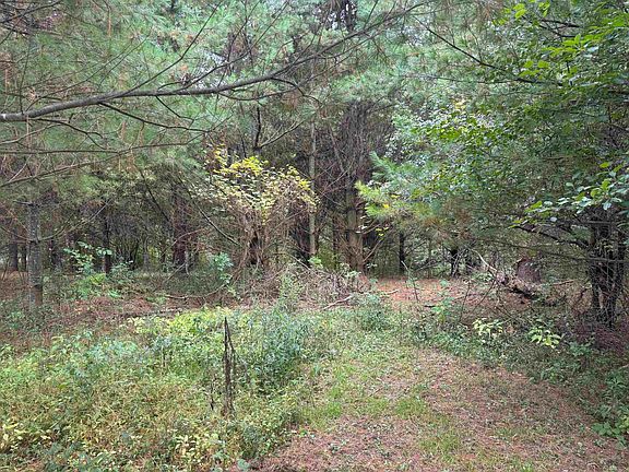4th image of 2.818 Acres Hwy #13