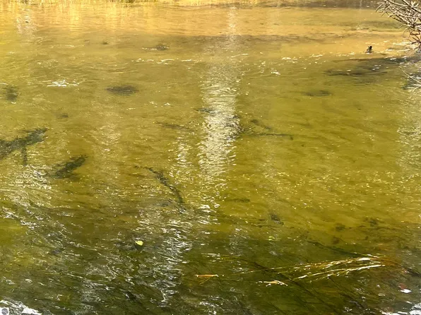 6051 N Manistee River Rd, Frederic, MI 49733