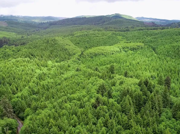 Labiske Rd, Astoria, OR 97103