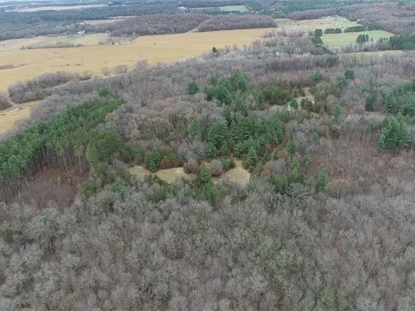 S 9482 County Road Z, Mondovi, WI 54755