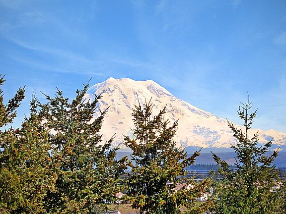 Mt. Rainier View