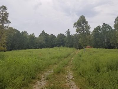 Ridge View Trl, Dryden, VA, 24243