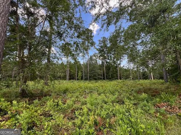 19 Windmill Palm, Brunswick, GA 31523