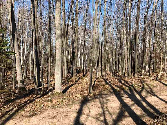 2nd image of 140 Huron Woods Dr