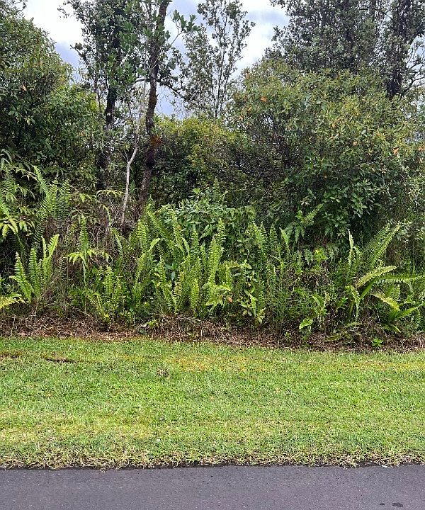 1st image of Plumeria St Lot 6662
