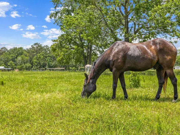 0000 Fm 1632, Woodville, TX 75979