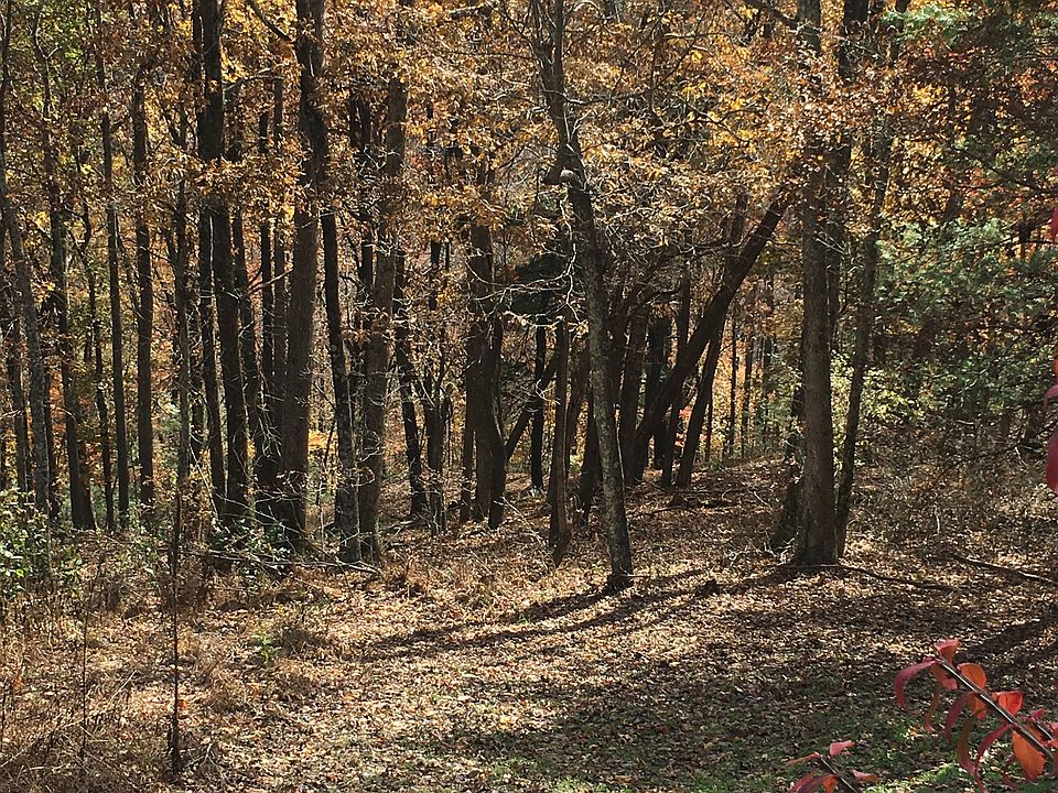 Great wooded lot