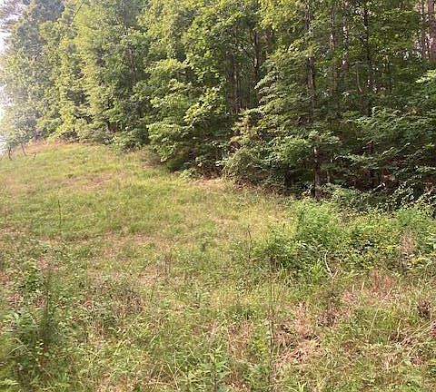 2nd image of 0 Old Highway 411