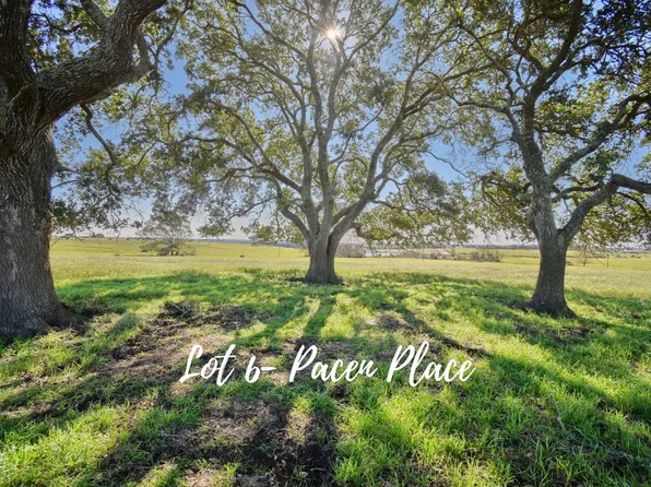 6 Pacen Pl, Chappell Hill, TX 77426