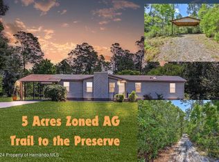 6530 Magee St, Weeki Wachee, FL 34613