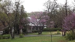 1st image of 447 Charity Hwy