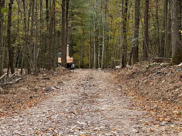 LOT 1.6 Foster Trl, Narrowsburg, NY 12764