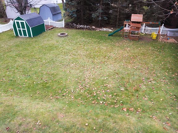 Back yard