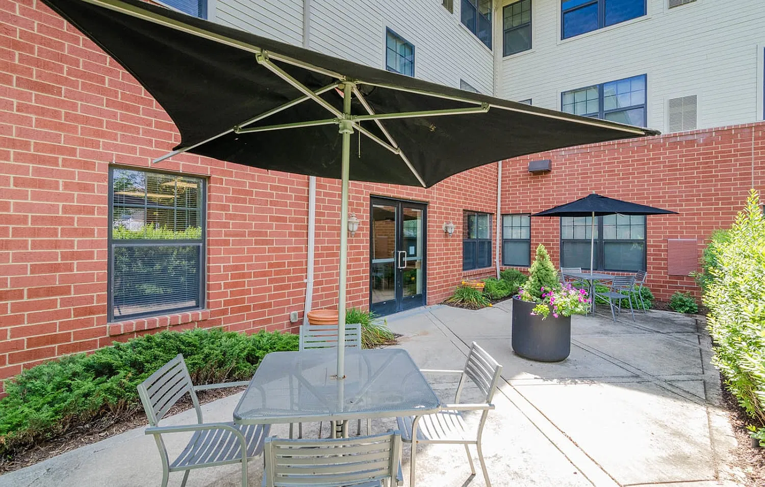 1 bed, 800 sqft, $900 — Photo 3