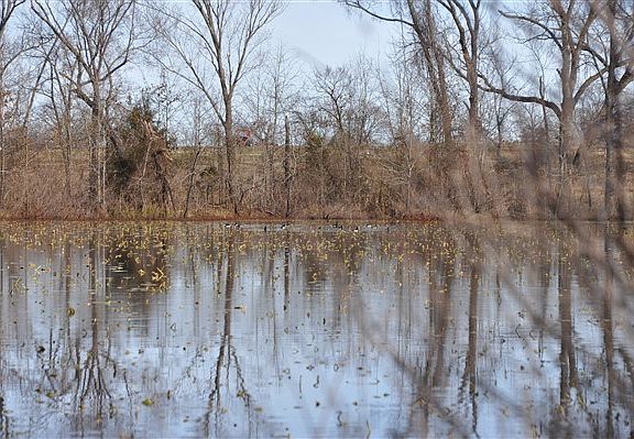 5th image of 57321 Culley Ln