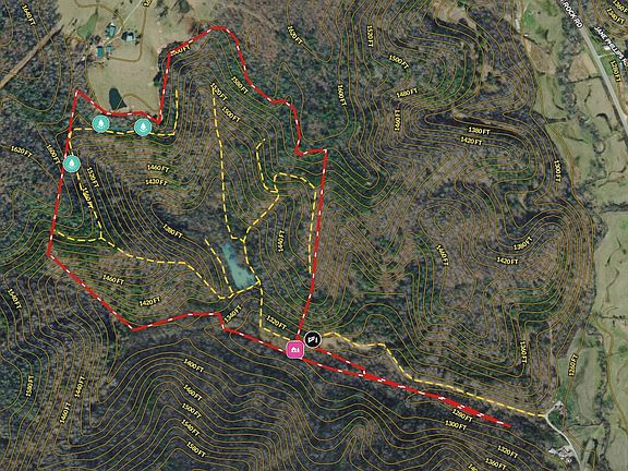 2nd image of 899 Morning Glory Rd