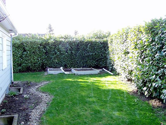 Backyard privacy