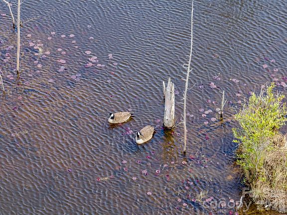 2nd image of 0 Lobelia Rd