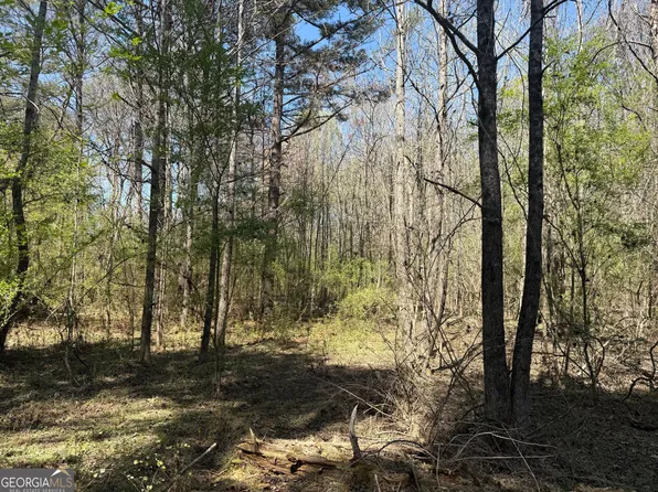 78 Mullinax Rd, Taylorsville, GA 30178