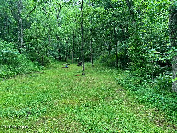 2nd image of Carlos Rd