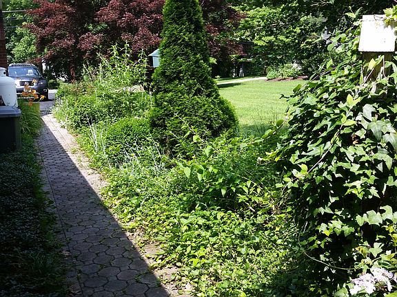 Side Yard